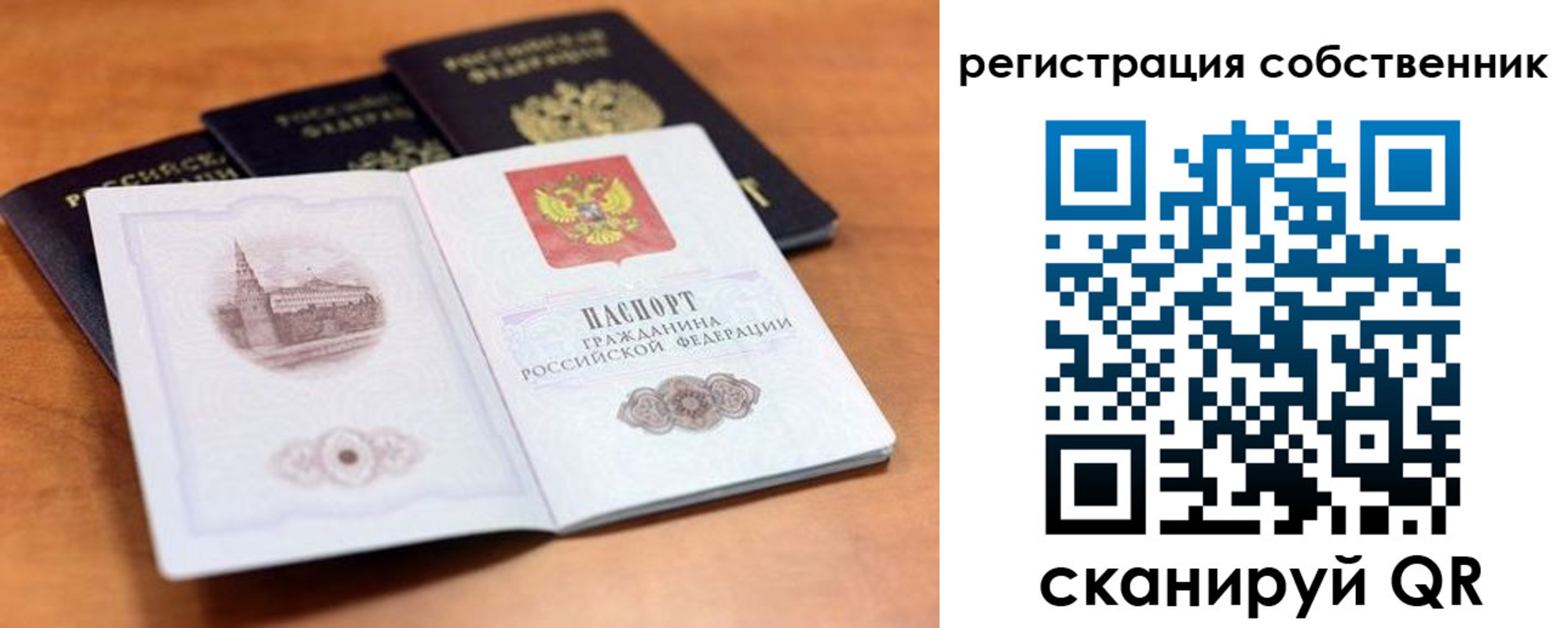 прописка поиск в Ельце
